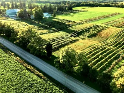 aerial photo of farmer's fields